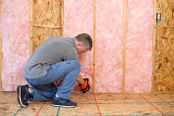 Best Residential Insulation in Loveland, CO